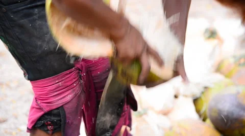 Thai gardeners peeling coconuts use sharp knife. Stock Footage 51453553