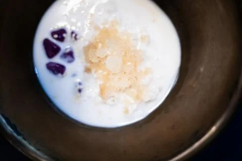 Thai glutinous rice balls with coconut milk. Stock Photos