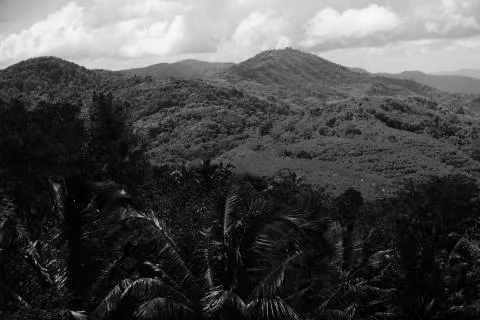 The Thai hills of Phuket  Stock Photos