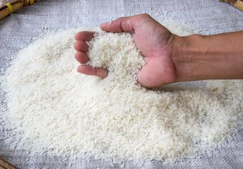 Thai jasmine rice Stock Photos