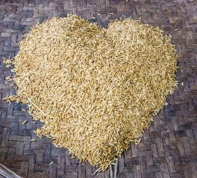 Thai  jasmine rice Stock Photos