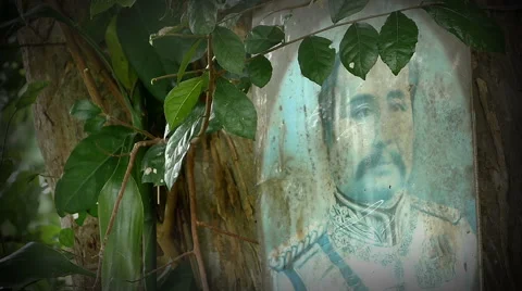 Thai King in forest Stock Footage 66416609