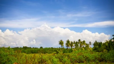 Thai landscape Stock Photos