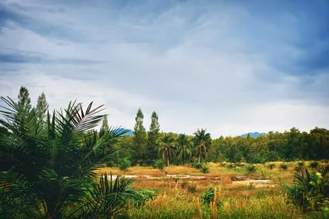 Thai landscape Stock Photos