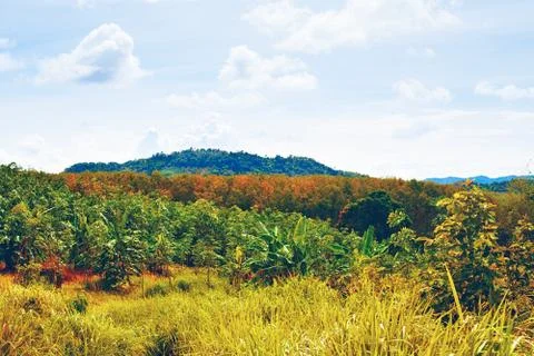 Thai landscape Foto stock