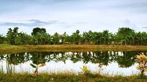 Thai landscape Stock Photos