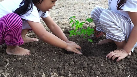Thai little girl planting a tree at the ground. Ecology concept. part2 Stock Footage