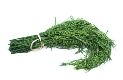 Thai local vegetables Stock Photos