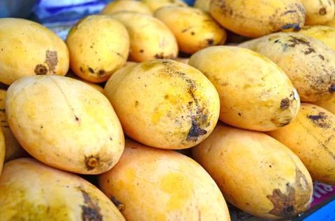 Thai Mango Stock Photos
