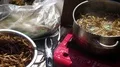 Thai market insect street food barbecue grilling and cooking HD Footage