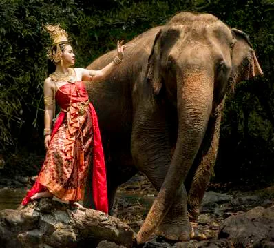 Thai Model and Elephant 스톡 사진