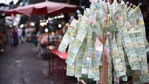 Thai money tree Thailand culture Stock Footage