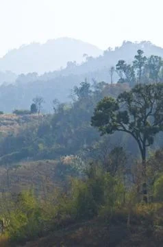 Thai mountains Stock Photos