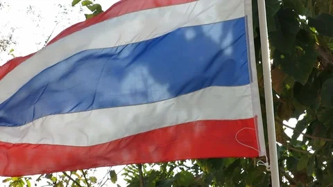Thai National Flag Stock Footage 103350096