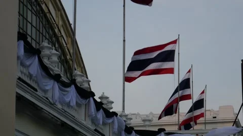 Thai National Flag Vidéo 334118843