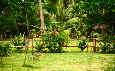 Thai nature Foto stock