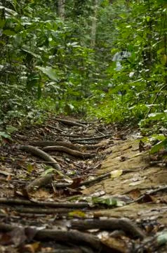 Thai nature 스톡 사진