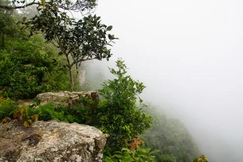 Thai nature Stock Photos