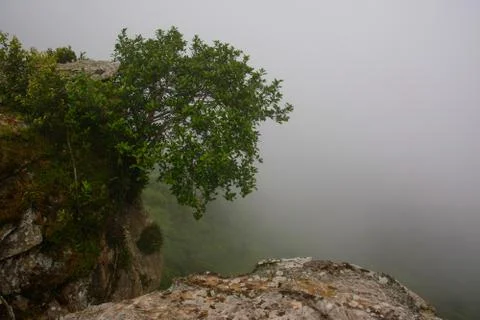 Thai nature Stock Photos