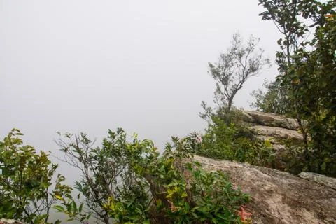 Thai nature Stock Photos