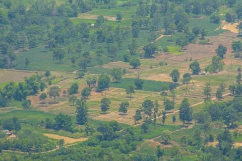 Thai nature 스톡 사진