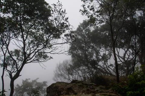 Thai nature Stock Photos