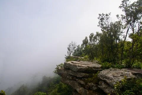 Thai nature Stock Photos