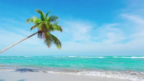Thai palms beach background landscape 4k. Stock-Footage 153231357
