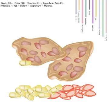 Thai Peanut Cracker with Vitamin B and E Stock Illustration