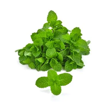 Thai peppermint on white background Foto stock