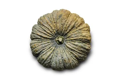 Thai Pumpkin isolated on white background with clipping path. Stock Photos