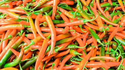 Thai red chilli Stock Photos