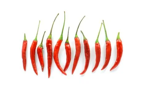 Thai red chilly Stock Photos