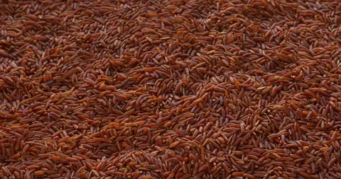 Thai red rice. Sliding background texture. Stock Footage 327454847