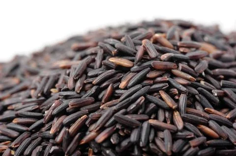 Thai rice berry Stock Photos