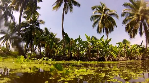 Thai River Video stock 89885391