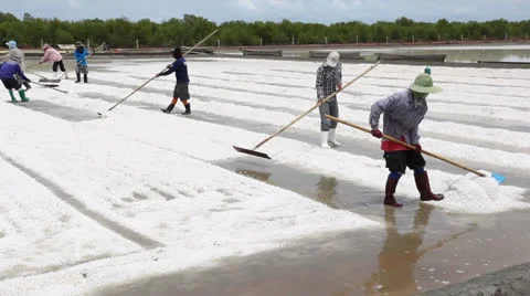 Thai salt workers gathering salt on the salines Stock Footage 23632424