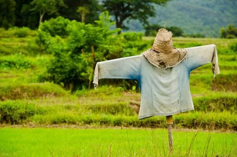 Thai Scarecrow Stock Photos