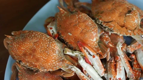 Thai seafood dish. Orange cooked steamed blue crabs on big plate Video stock 71698474
