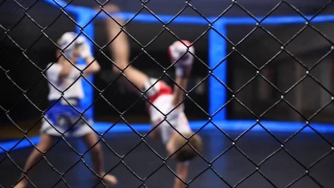 Thai sparring of children Video stock 71955435