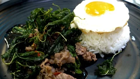 Thai stir fried basil beef with rice and fried egg Stock-Footage 336229991