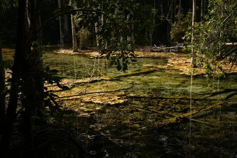 Thai stream 8 Stock Photos