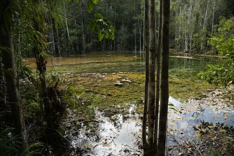 Thai stream 9 Stock Photos