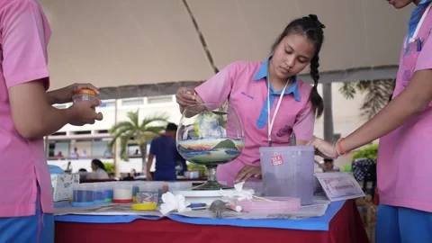 Thai students making design cactus succulent terrarium with color sand art Stock Footage 156753703