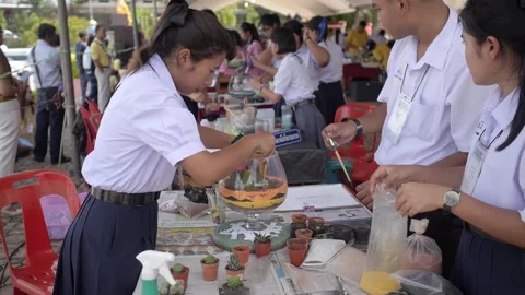 Thai students making design cactus succulent terrarium with color sand art Stock Footage 156753738