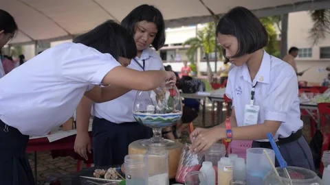Thai students making design cactus succulent terrarium with color sand art Stock Footage 156754331