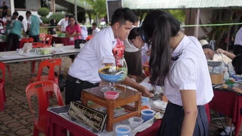 Thai students making design cactus succulent terrarium with color sand art Stock Footage 156792080