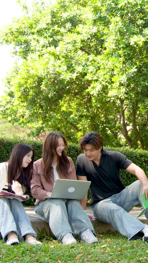 Thai University Students Using Laptop Together on Campus Green Grass Stock Footage 336352108