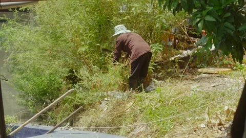 Thai Worker In Midday, high heat index and change of Heatstroke Stock Footage 274564538
