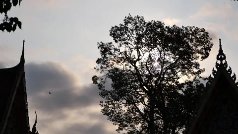 Thaiart Stock Footage 288554819